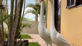 Solar Saint Sebastian - Foto 4, Garden view