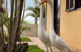 Solar Saint Sebastian - Photo 5