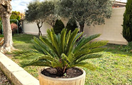 LE CHESTER - Maison de charme en Provence avec piscine près de L'Isle-sur-la-Sorgue - Foto 36