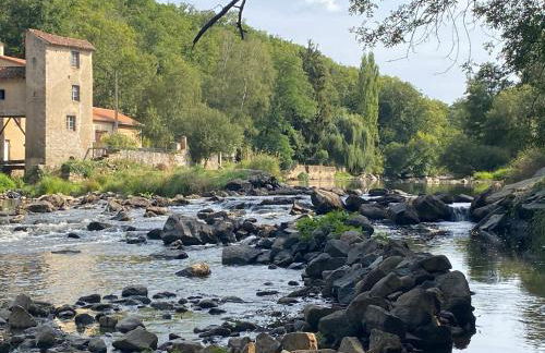 Les Rimpaudieres - Foto 11