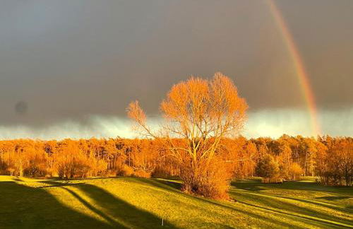 Deluxe Apartment mit Balkon und Frühstück im Hotel Reindahls - Foto 19