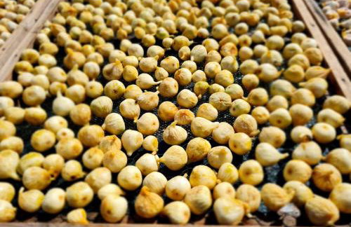 Villa Žurnata - Foto 57