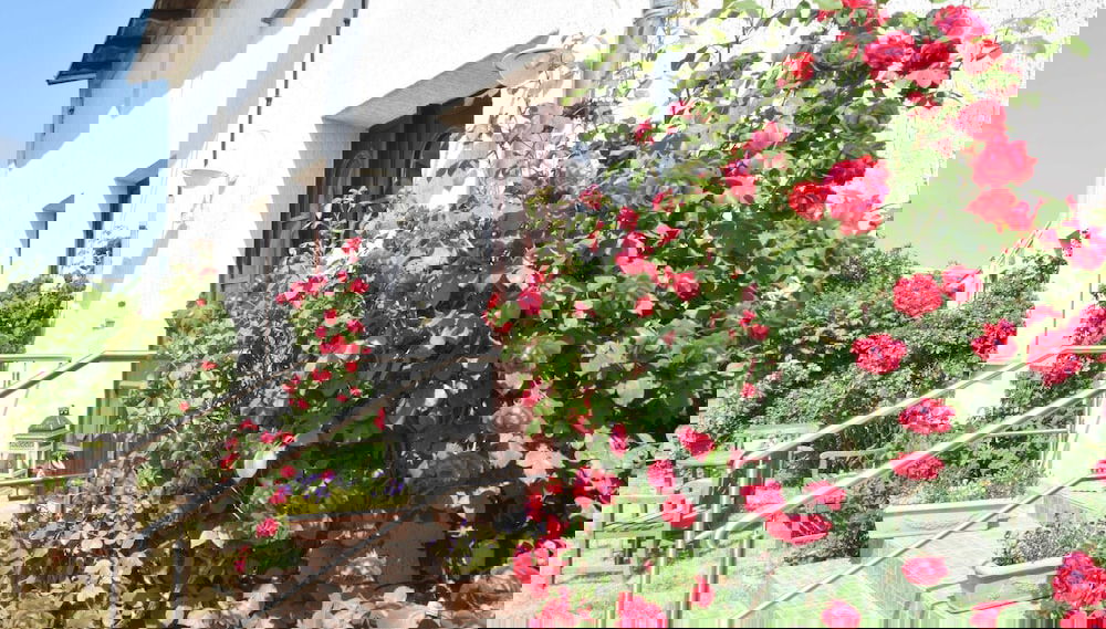 Smart Apartment in Wendelstorf near Sea Beach - Foto 1, Profilbild