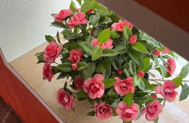 LA CASETTA DELLE NUVOLE - Foto 5