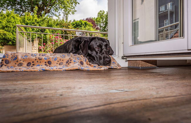 City Appartments Am Wall - Foto 61