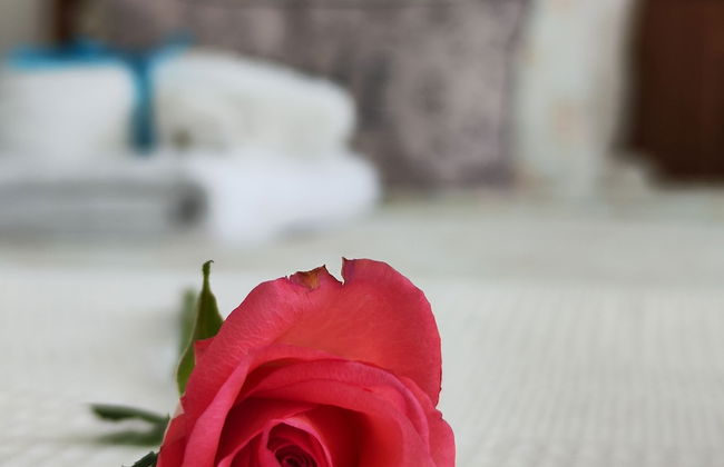 Buon Studio Sibiu, near train station and Small Square Old Town - Foto 5