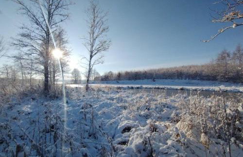 Między Olchami domek nad jeziorem. Noclegi całoroczne. Cisza, spokój. - Foto 48