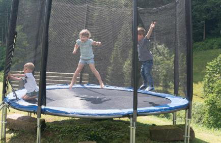 Springhansenhof - Foto 11