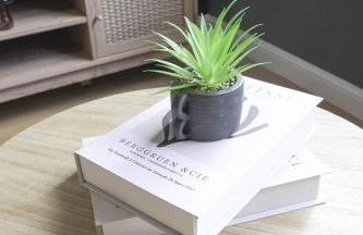 Andrew House - Foto 37