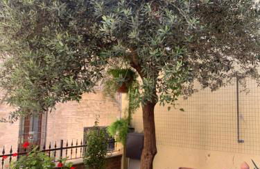 Il Giardino - Photo 26