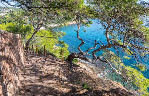 Bas de villa jardin plein sud proche mer clim-Wifi - Foto 15