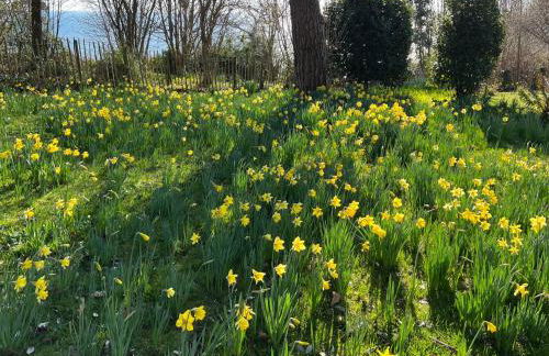 Priory Apartment - Foto 10