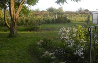 Appartamento Danilla - Foto 23