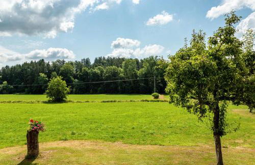 Ferienwohnungen Mayerhofer - Foto 21