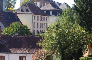 Moderne Wohnung in barockem Altstadthaus nahe Altstadt und Radweg - Photo 32