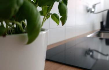 Rome Tiburtina Terrace Inn - casa vacanze - Foto 7