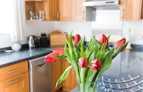 Tyddyn Perthi Farm - Foto 19