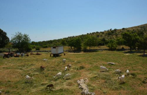 Apartman Marija - Photo 53