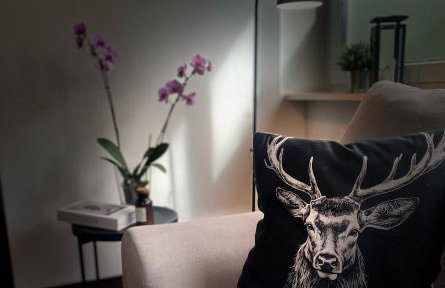 Ferienwohnung Hella - Foto 1