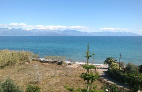 Villa Sofia - Foto 72