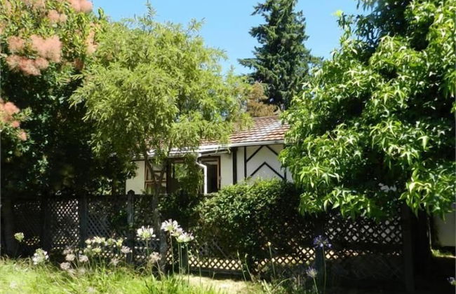 Smokebush Cottage with WIFI - Photo 11