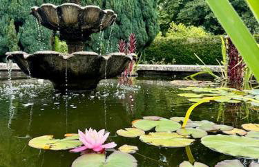 The Hollies, Dorset - Foto 50