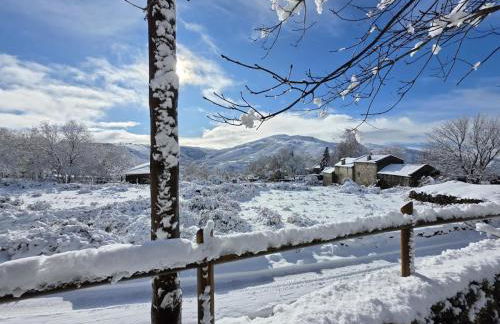 Cardenha das Formiguinhas - Foto 34