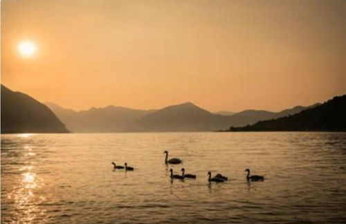 Wellness Home Sarnico - Foto 39