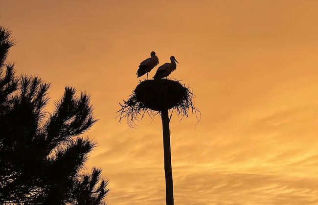 Cabana Lavanda Comporta by Boutique - Foto 52