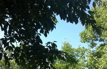 2type4 - Apartments - Foto 43