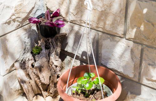 Apartments by the sea Zuljana, Peljesac - 10233 - Foto 13