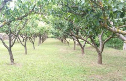Casa Rural Barangua en el Pirineo Aragonés - Foto 32