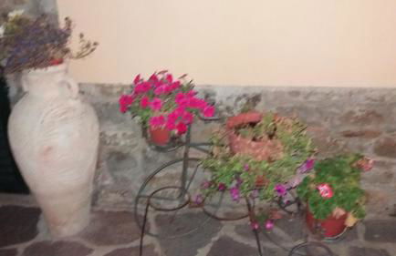 Villa San marco - Foto 37