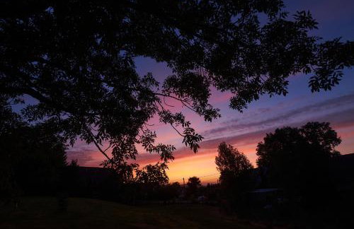 Zielony Dom - Foto 19