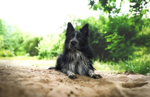 Ferienwohnung Am Stadtpark - Foto 16