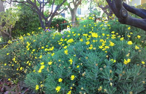 Residence La Carruba - Foto 69