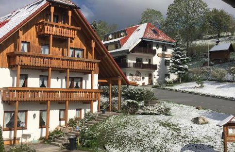 Schwarzwald-Hotel Kraeutle - Foto 8