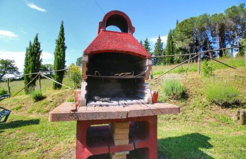 Bellavista farm of Quercini Maurizio - Foto 64