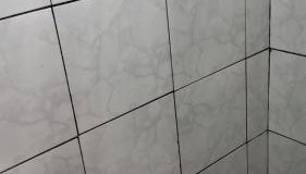 Flor da Primavera - Foto 5