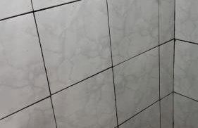 Flor da Primavera - Foto 5