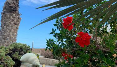 Little Paradise in El Médano 2 - Foto 2