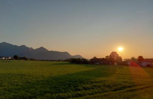 Ferienhof Oberhuber - Photo 7