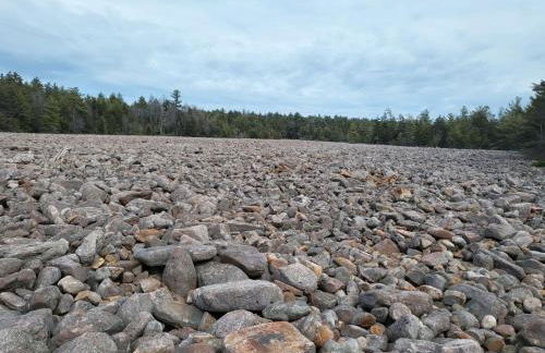 Charming Corner Newly Furnished Townhome - Foto 62