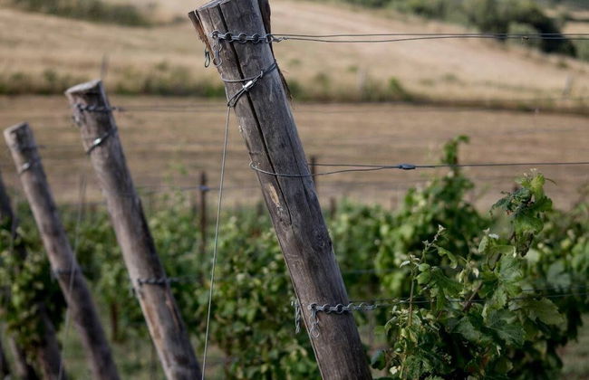 Cascina al colle - Photo 73