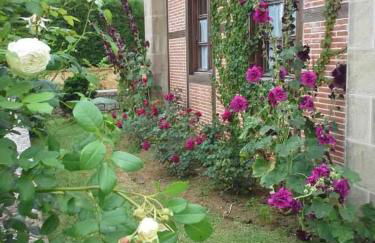 Apartamentos Arcadia - Foto 19