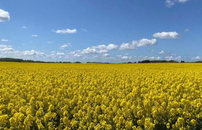 6 Person Holiday Home in Skibby - Foto 1