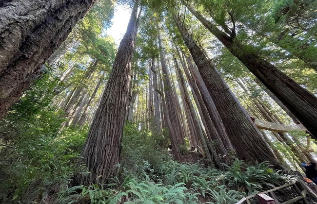 Oceanview Cabin 28 w Jacuzzi Terrific Views - Foto 19