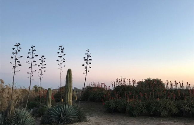 Belvilla by OYO Ballamory - Foto 37