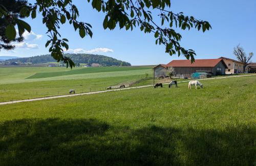 Ponyhof Adam Urlaub auf dem Bauernhof - Foto 73
