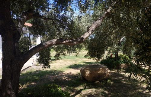 Vacanza in Ogliastra - Foto 22